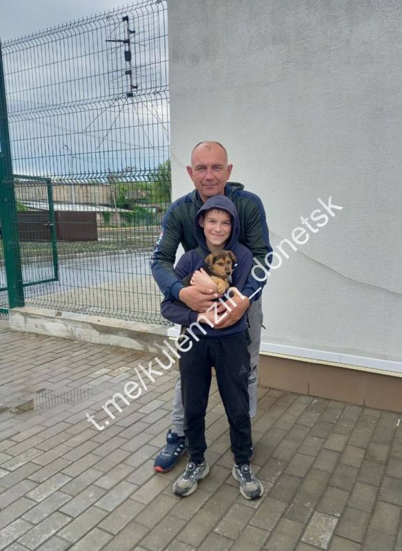 «Три пушистика согревают чье-то сердце в новом доме!»: В Донецке продолжают оказывать помощь бездомным животным