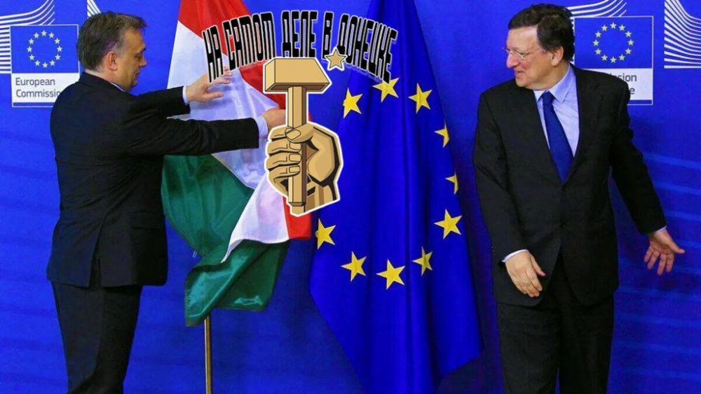 Бунт и публичная казнь в ЕС!