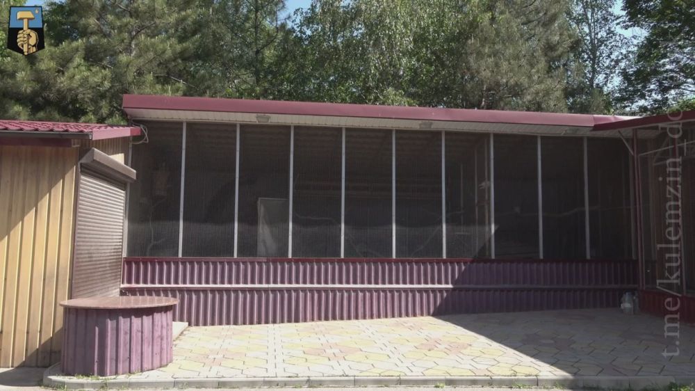 Алексей Кулемзин: В самом сердце Донецка, на территории Республиканского перинатального центра имени профессора В.К. Чайки, где рождаются новые жизни и, к большой радости, наблюдается положительная динамика рождаемости...