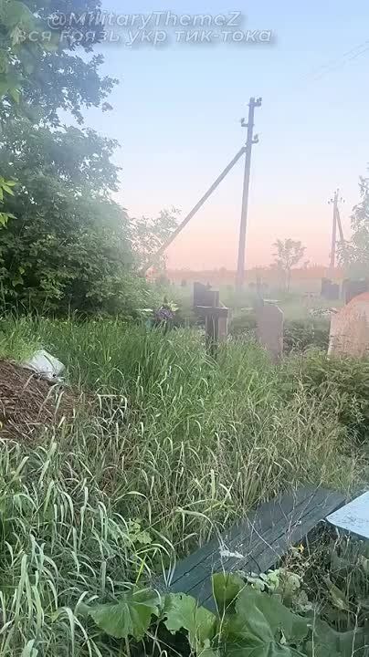 ������ ��������� ����� �� ���������� � ������ ���������, �������� �������