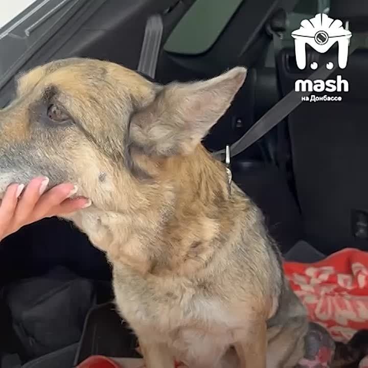 �������� � �������� �������� ������ �������� ����������