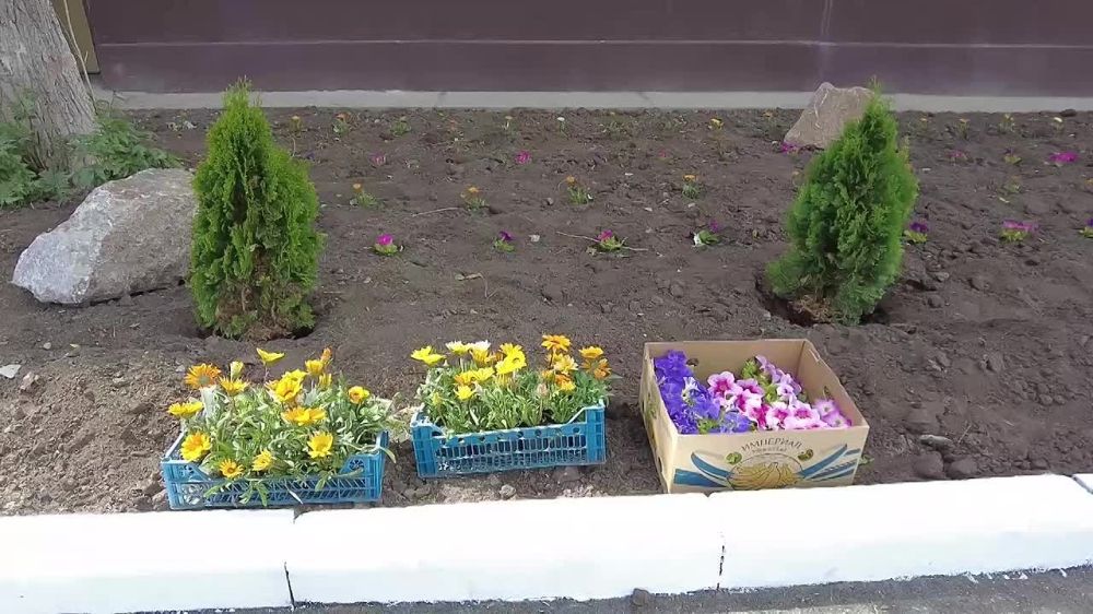 Задание на лето: постоянное электроснабжение в Авдеевке планируют наладить к осени