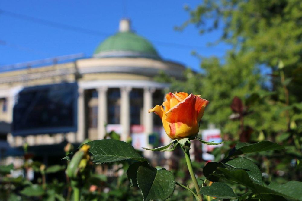 ������� ���������: ������, ��������� ������ � ������ �� �������� ������ ����������� ������� 2027 ����!