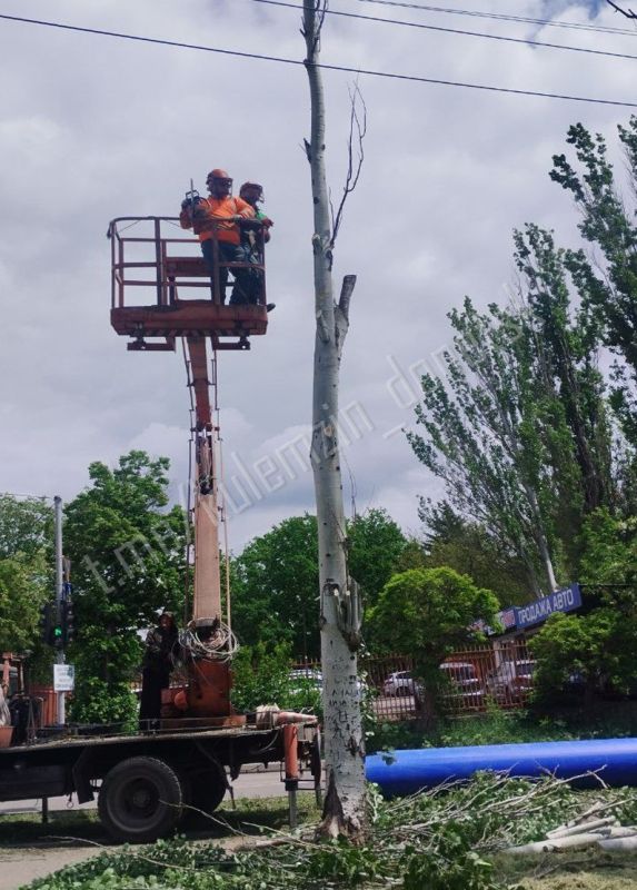 Алексей Кулемзин: По поручению Главы ДНР Дениса Пушилина сотрудники предприятия «Зелёное строительство города Донецка» осуществили работы по благоустройству сквера им. Калинина