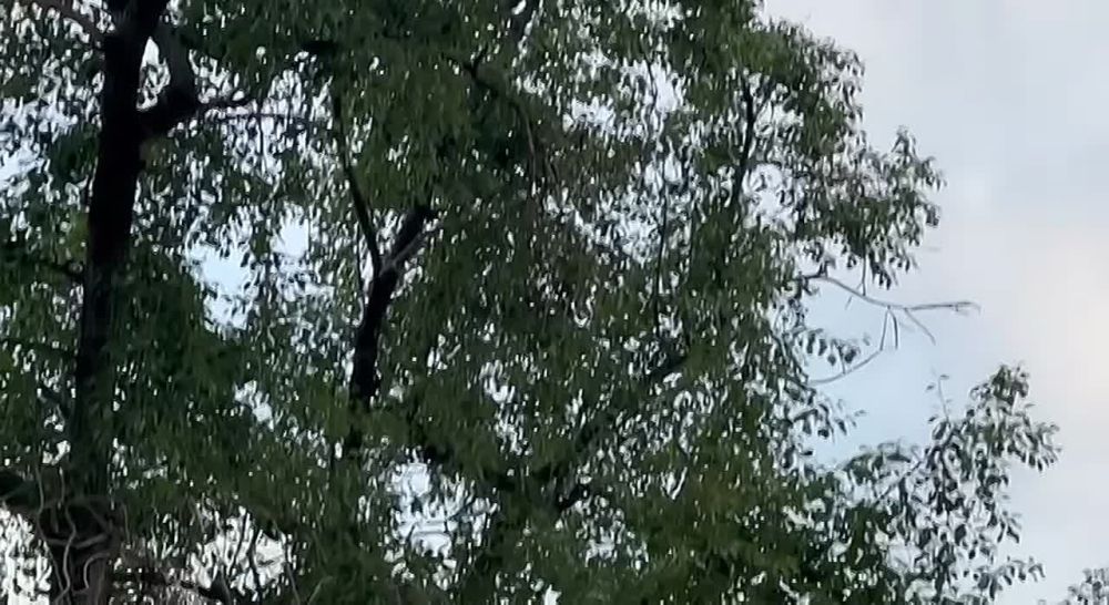 Роман Косарев: Дроны над центром Донецка в 5 утра в воскресенье