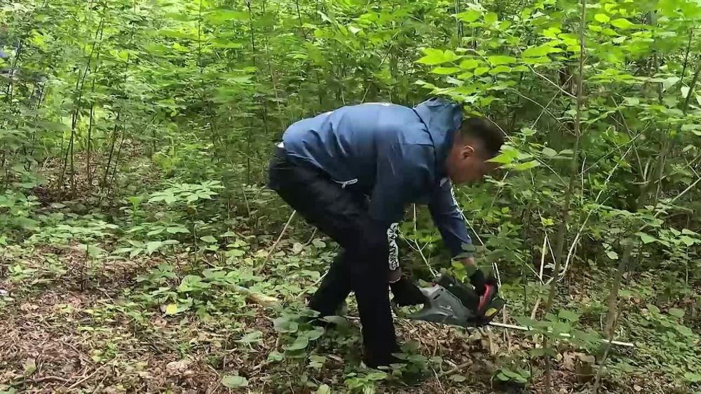 ��������� ��������� ������� � ���������� ������ ������