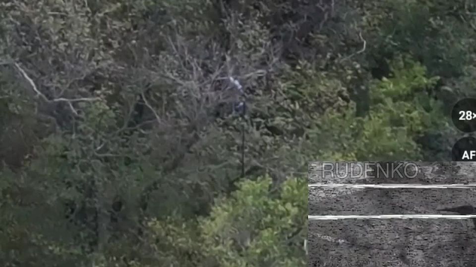 Андрей Руденко: На Южно-Донецком направлении операторы FPV-дронов группировки «Восток» нанесли удары по пунктам управления и связи ВСУ в районе Отрадного