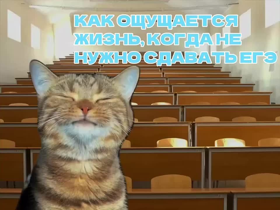 � ����� �������� ����� ��������� � ����������� ��� ���