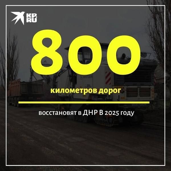 �������� �������� ���������� �������� �������������� ������� �� ������ ������� �����: ���� � ������� 2024 ���� ����������� ������������ 453 ���������, �� � ���� ��������� ���� ����� ����� � �� 800 ����������
