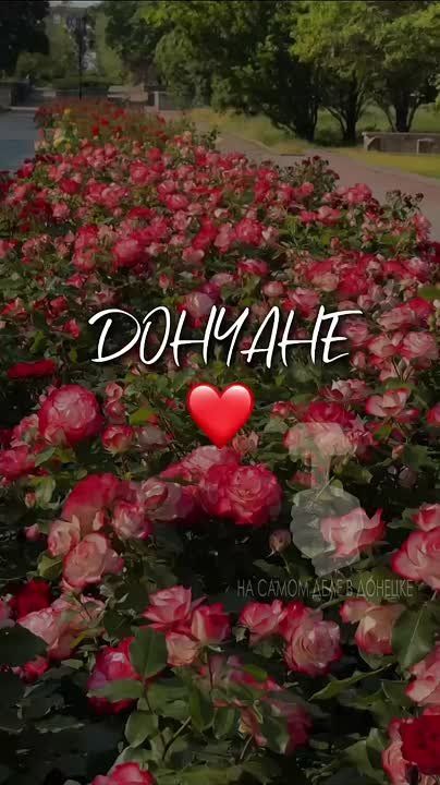 Мирных снов — восхитительному Донецку