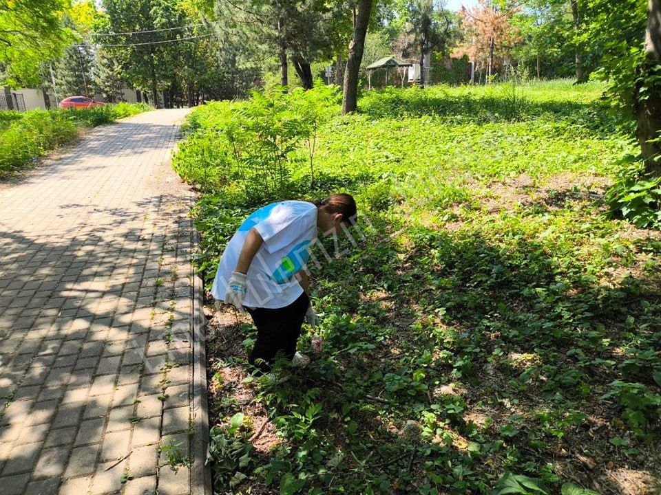 ������� ��������: � ������ ������������� ����� ����� ������ ������� ���������� ������ ������ ��������� � ��������������� ������������ ����������� ������� ������ ���������� ���� ������ ������� ��������� ����