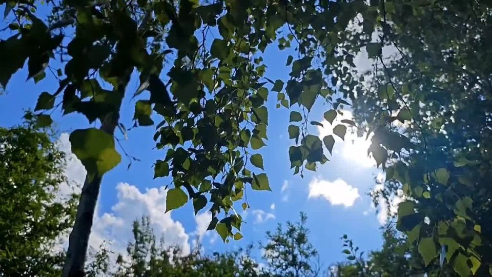 ���� �������� ����� ��������� 6 ����, � ��� ���� ������� �� ��������