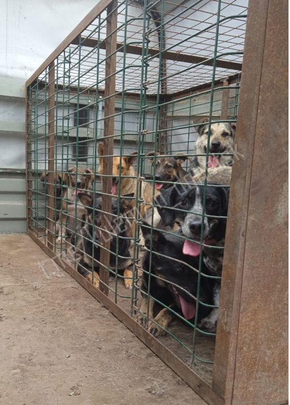 ������� ��������: ����������� ��������� � ������ ���������� ���� ������ �� ������ � ���������� ������������ �������� � �������