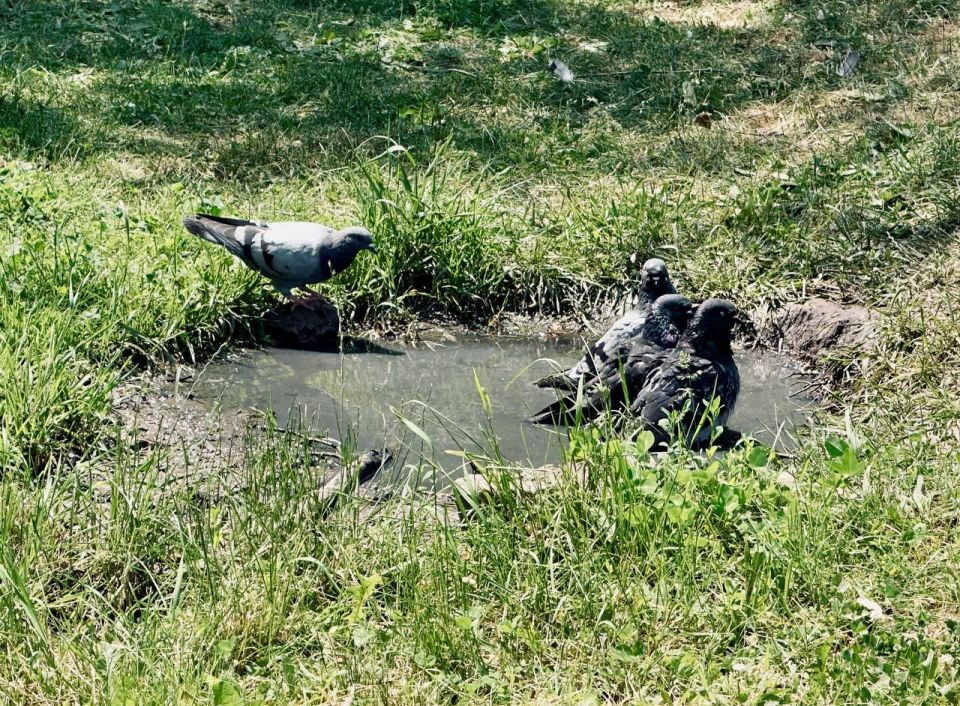 ����� ����������: � ������� ����