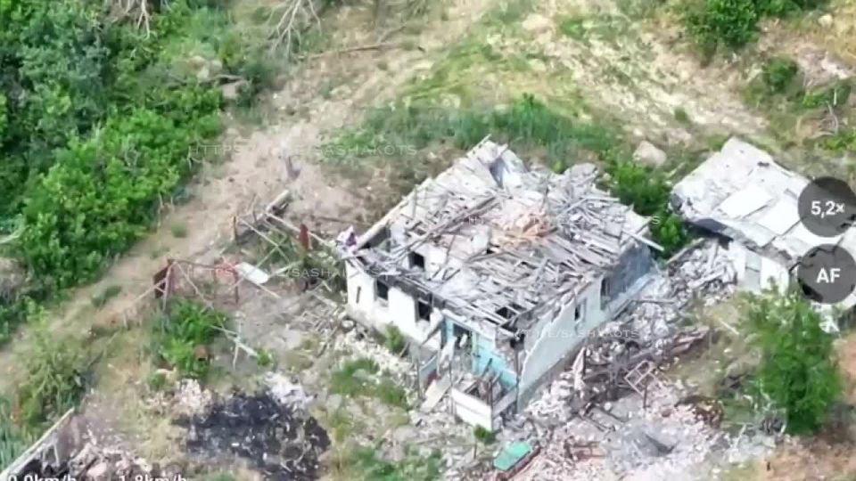 �������� �����: ������� ���� ��� ����������