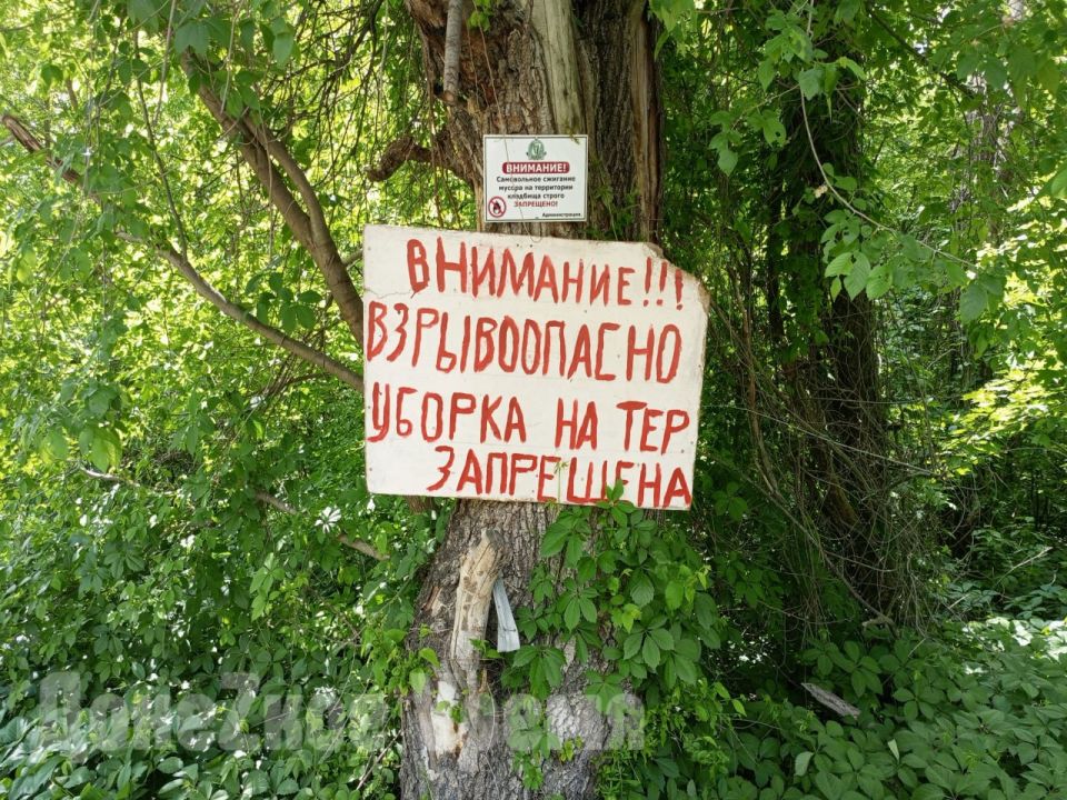 ������ ��������: �������� �������� �������� ���-����������� ��������� ���� ������