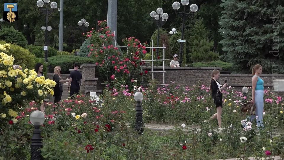 ������� ��������: ���� � �������� �������� �������!