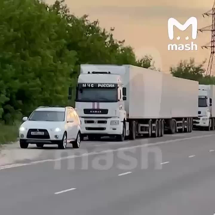 Украине передали первую партию из 1212 тел военных — больше всего погибших ВСУшников в Курской, а также Донецкой, Харьковской и Запорожской областях