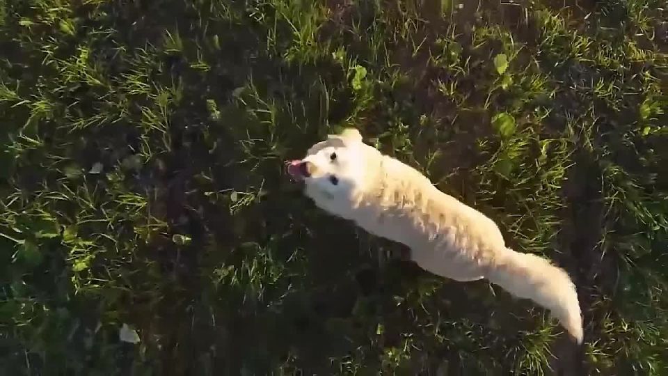 ����������� ������������ ������������ ������ ������ �� �������� �������� ���������� � ���� ������