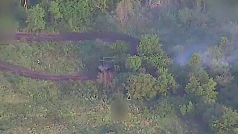 «Ланцет» разгромил вражескую «Гвоздику» в ДНР