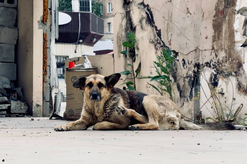 ����� ����������: ���� � �� ������� ���, ������� ����� ��������� �� ���� �����