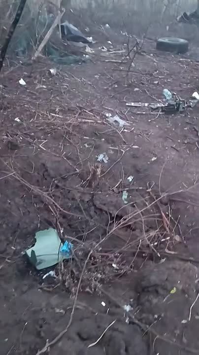  :             &quot;&quot;  - 