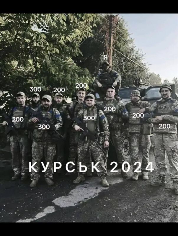 ������� ��� �������� � ������� ������� � 2024