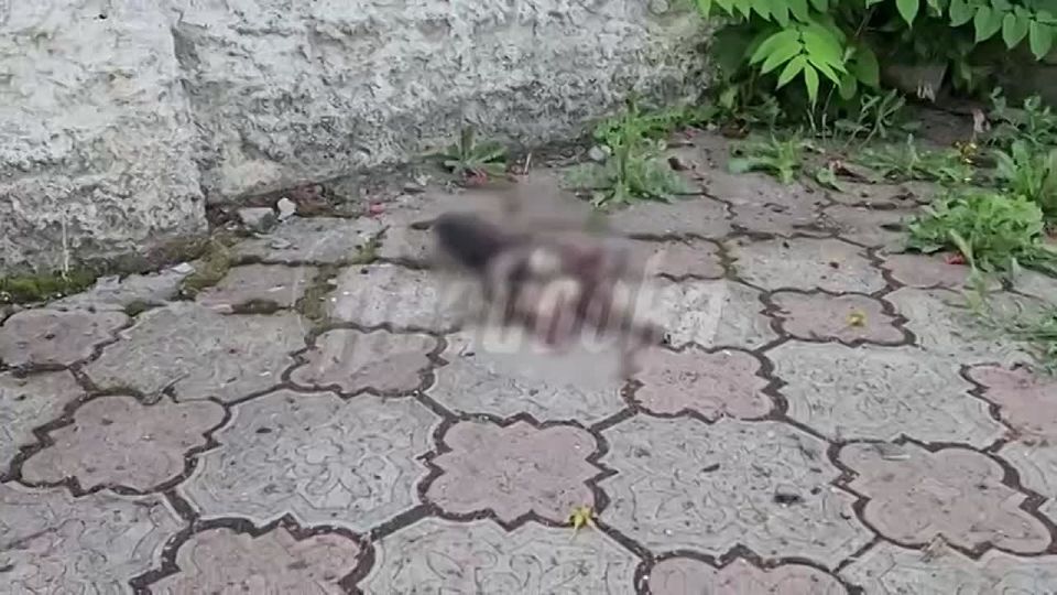 �� ������� ����� ����. ����� �� ������ ����