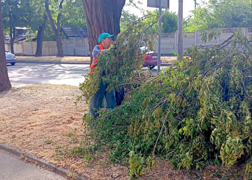 Иван Адамец: МУП АГД «Зеленстрой» создаёт уют и чистоту в Куйбышевском районе