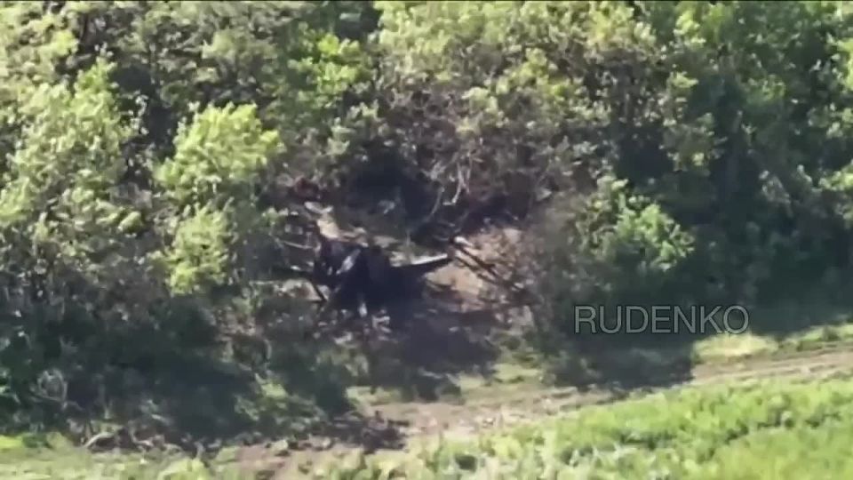  :            -30   - 