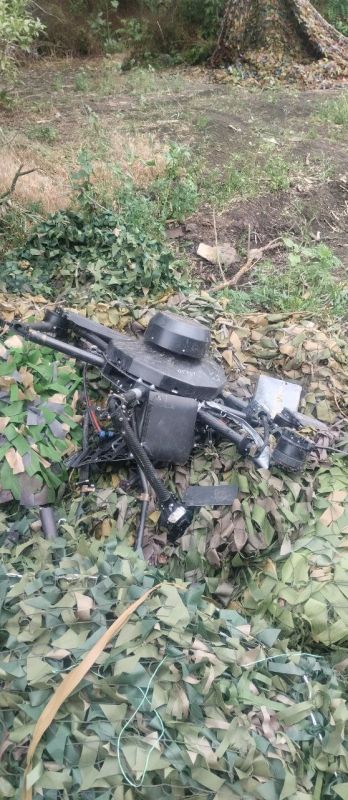  :   &quot;&quot;         -  &quot; &quot;  - 