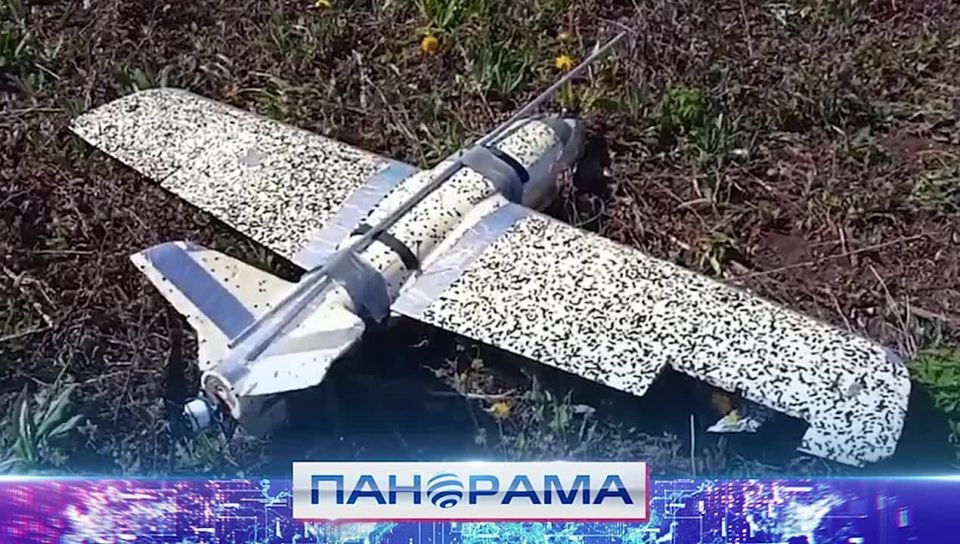 ����������, �������� � ������: ������ �������� ���� 590 ��������� ������