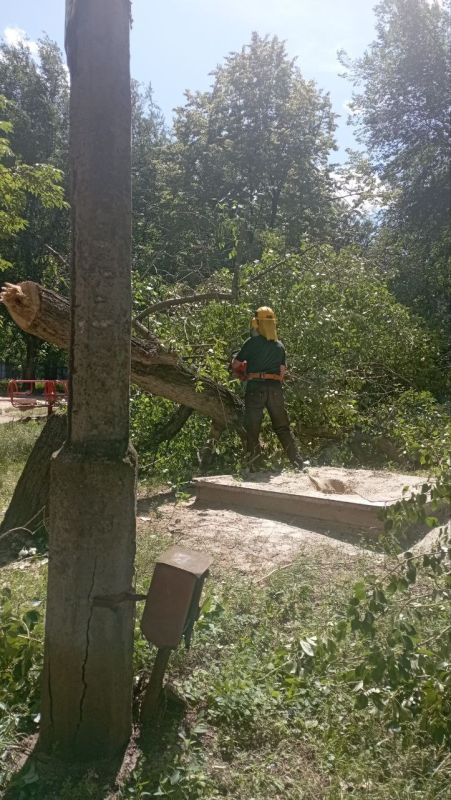 Василий Ткачук: Силами МУП АГД "Управляющая компания Калининского района города Донецка" проведены работы по санитарной обрезке и кронированию зелёных насаждений, произрастающих на придомовых территориях многоквартирного...