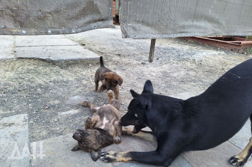 �� �������� ������ � ������� �������� ����� 100 ��������� �����