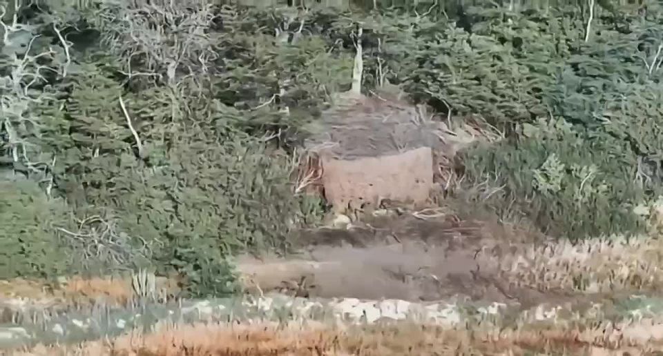 ���������� ������ ������� FPV-������ ������ ����� �-64�� � �-72�� ��� �� ����-�������� �����������, �������� Telegram-����� ������������ �����