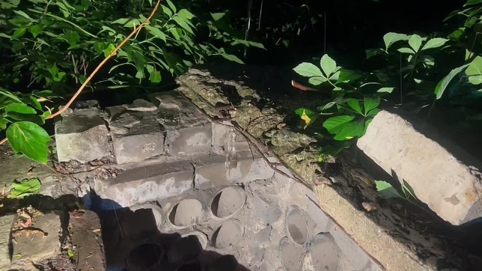 ����������� ��������� �� ���� ������ �������, ����������� � �������