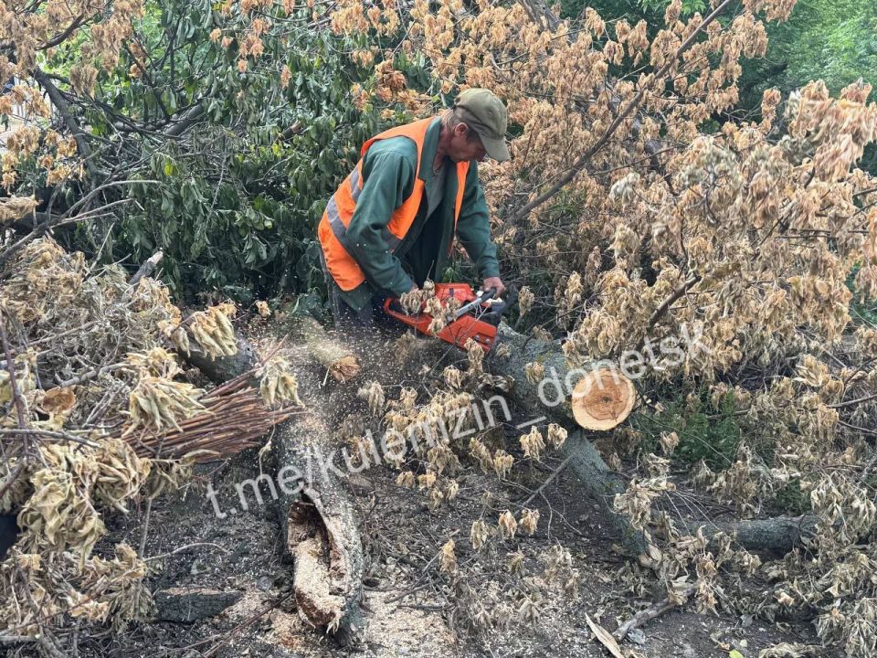 ������� ��������: ����� ������� ������� �� ���� ������� �������!