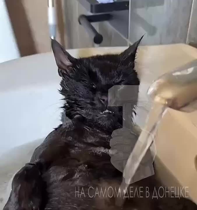 �������� ������ �������� � ���� ����