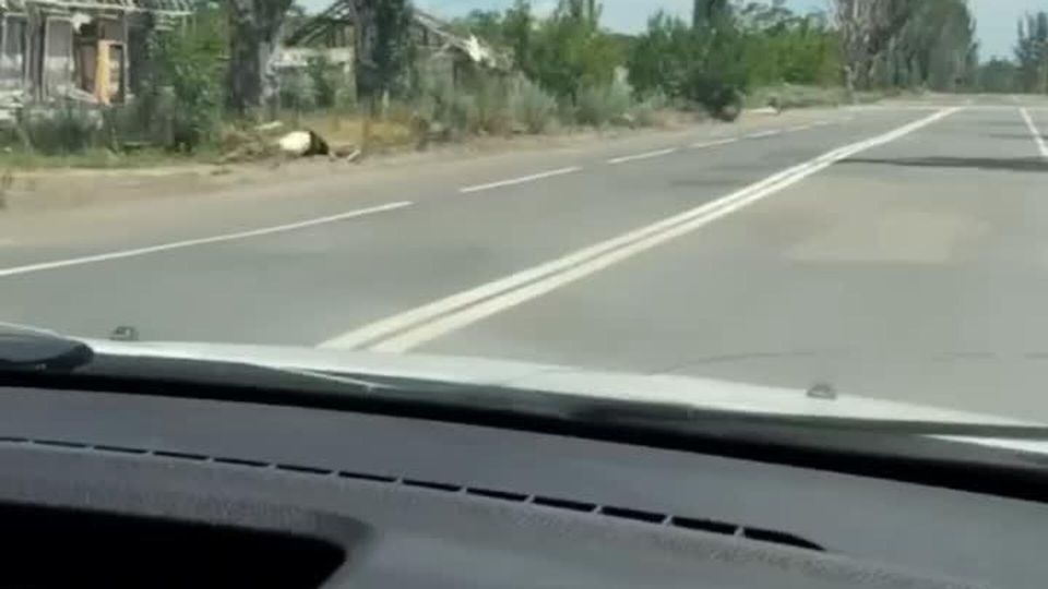 ��� ������� �� �������: ����������� ������� ����� �� �����