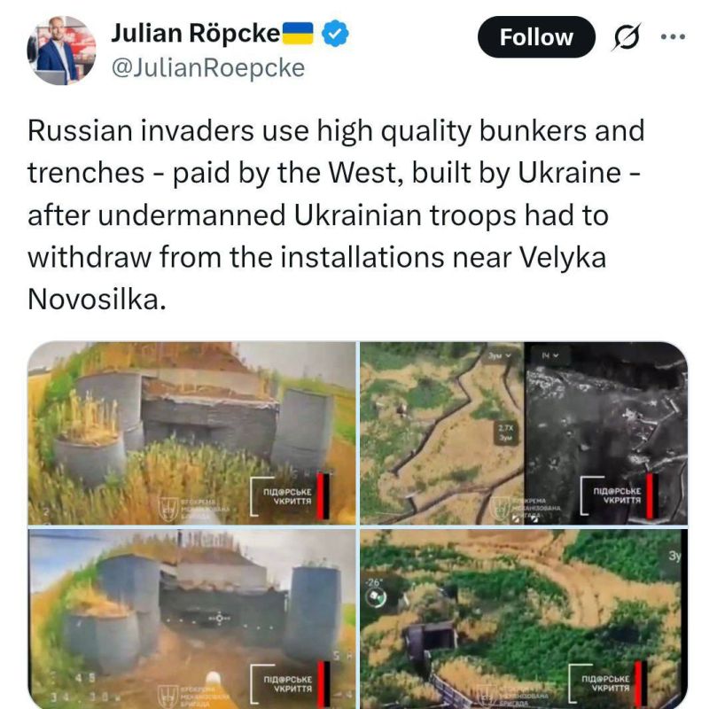  :         ,     ,     и  BILD