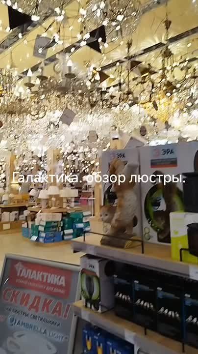 ���� �� ������ � ���������