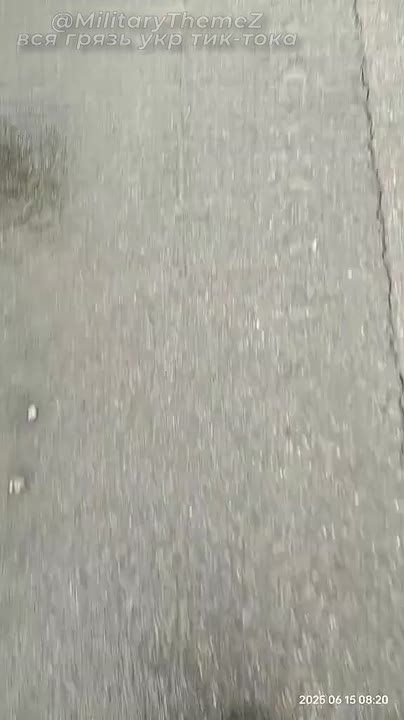 ���������� �������� �������