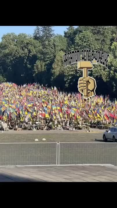 ������� �������� �� ������
