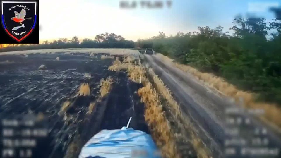  :    37     &quot;&quot;            - 