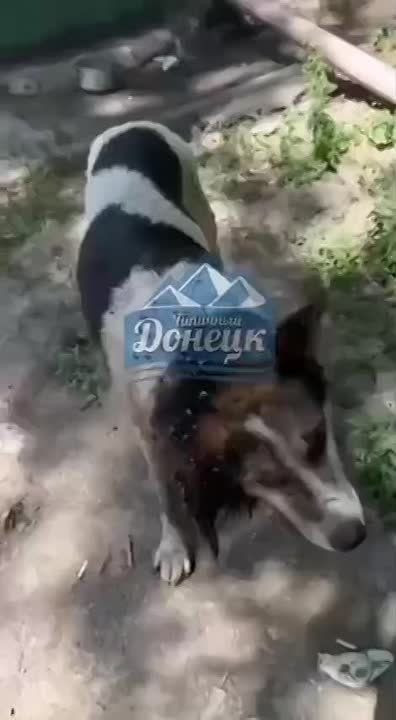 ������ �����: �������� � ���������� ��������� ��������� � ������