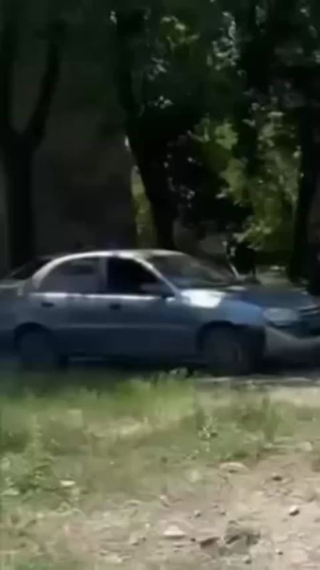 �������� ���: � ������� ����������� 5 �����������