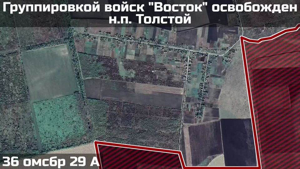 ��� ������: ����-�������� �����������, ���������� ������: