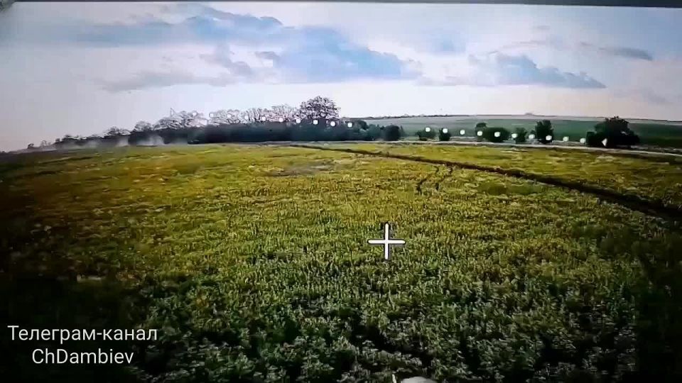  :  fpv-    &quot;&quot;      &quot;&quot;      - 