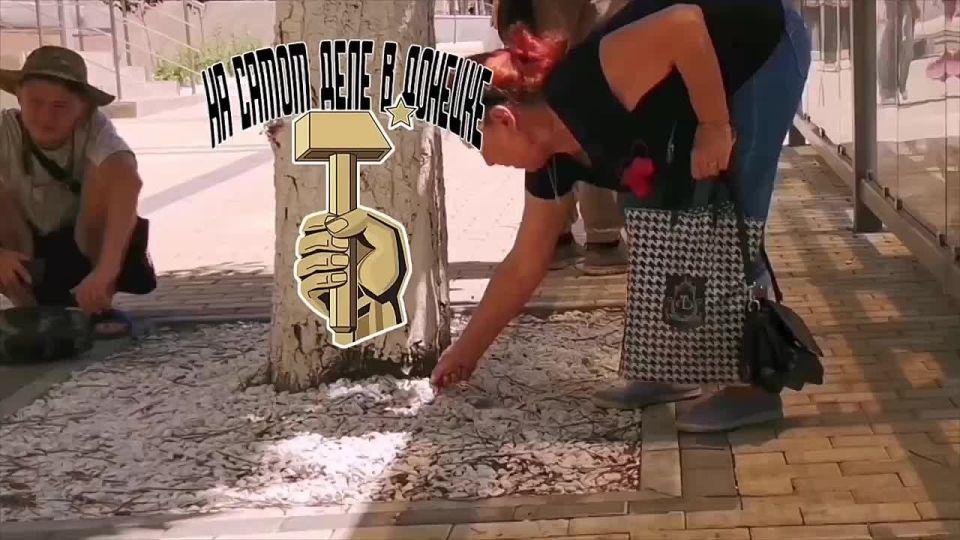 ������� � ������������� ��������� � ���������, �����������, ����� �����������
