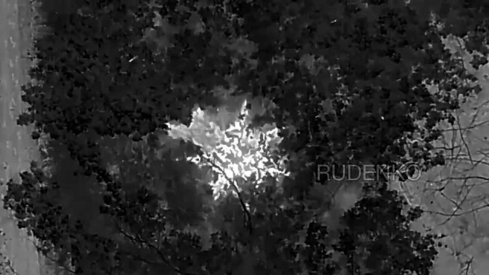  :          Starlink   - 